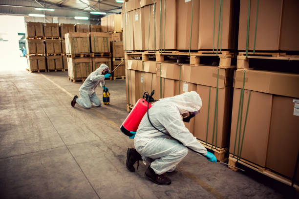 Best Pest Control Near Me  in Bertsch Oceanview, CA
