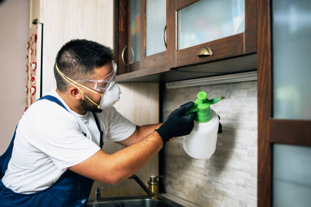 Best Insect Control  in Bertsch Oceanview, CA