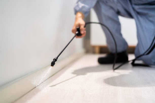 Best Commercial Pest Control Services  in Bertsch Oceanview, CA