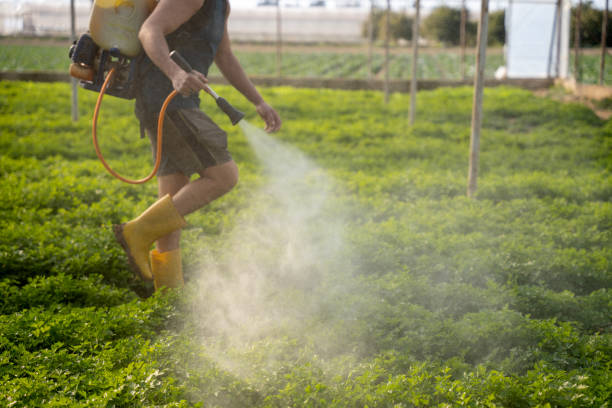 Best Wildlife Control Services  in Bertsch Oceanview, CA