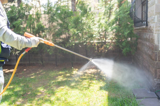 Best Ant Control Services  in Bertsch Oceanview, CA
