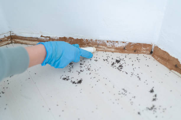 Best Pest Removal Services  in Bertsch Oceanview, CA